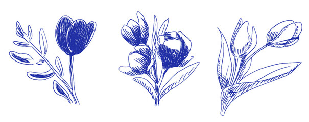 Poster - Floral doodles capture whimsical Mediterranean charm in a coquette style with linear design elements