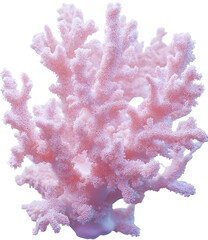 Poster - light coral isolated