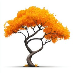 Autumn tree with orange leaves isolated on white background