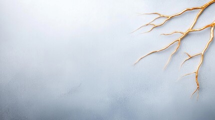 Fototapete - Golden branch adorns a textured blue gray wall providing elegant contrast.
