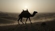© Jessika Cahya - Riding Camel Through Desert at Sunset Silhouette