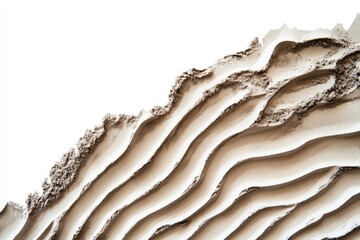 Poster - Footprints intricate in fine sand reveal a serene landscape at a tranquil beach during a clear afternoon