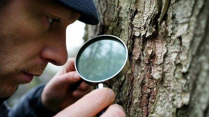 A man examines tree bark closely using a magnifying glass.