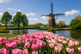 windmill and tulips