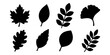 © PolCreate - Set of black leaf silhouettes in different botanical shapes, ideal for nature designs, eco themes, and seasonal illustrations. Vector illustration