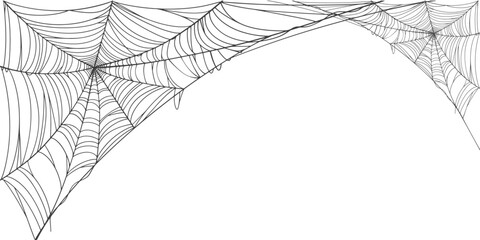 Wall Mural - spider web line art vector frame