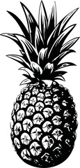 Aufkleber - Black and white illustration of detailed pineapple in vector style. Vector illustration