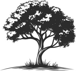 silhouette of a tree with dense foliage, black and white vector illustration. vector illustration