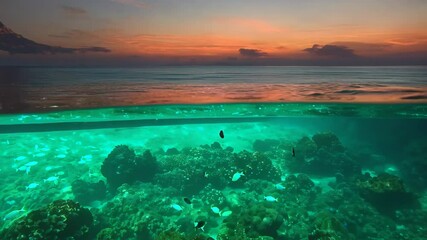 Poster - Ethereal Twilight Seascape with Vibrant Coral and Teal Colors