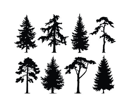 Natural Cedar Tree Silhouette EPS Vector Set