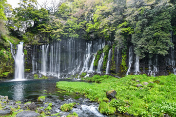 Poster - 日本静岡富士宮の白糸の滝