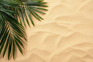 Poster - Palm leaves casting shadows on golden sand creating tranquil vacation atmosphere