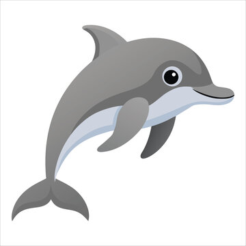 dolphin vector illustration