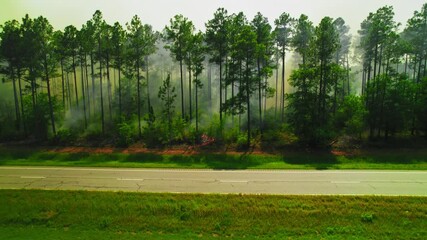 Wall Mural - Forest Fire Burning Through Pine Trees Along Rural Highway with Smoke Drifting Through Woods. Georgia, USA