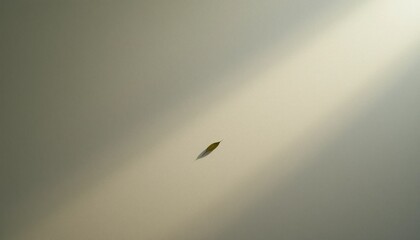 Poster - Mysterious floating object in soft light indoor space minimalist photography ethereal atmosphere close-up view conceptual exploration