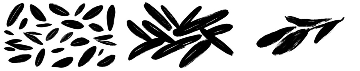 Poster - Black vector icon illustration featuring various abstract leaf and seed shapes arranged in different patterns for design use