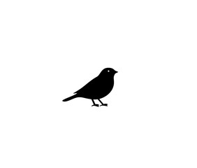 Poster - Silhouette icon of a small bird standing, perfect for minimalist design and graphics use
