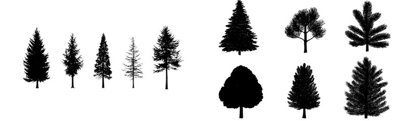 Poster - Vector illustration of various tree silhouettes featuring different tree types and shapes for design use