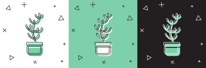 Poster - Set Exotic tropical plant in pot icon isolated on white and green, black background. Vector