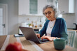 © Drazen - Smiling senior woman using laptop at home.