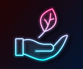 Poster - Glowing neon line Hand hold a leaf of the plant icon isolated on black background. Care nature. Leaf shoots with environmental protection. Vector