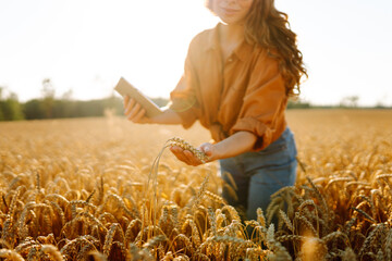 Fototapete - A young female agronomist with a digital tablet works in a golden wheat field. A farmer checks the quality of the crop with a tablet. The concept of agriculture, rich harvest.