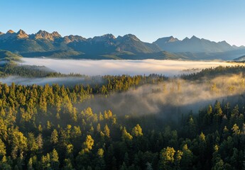 Wall Mural - lake in the mountains