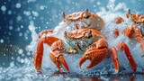 Crabs emerging from a splash of water, capturing a moment of marine life