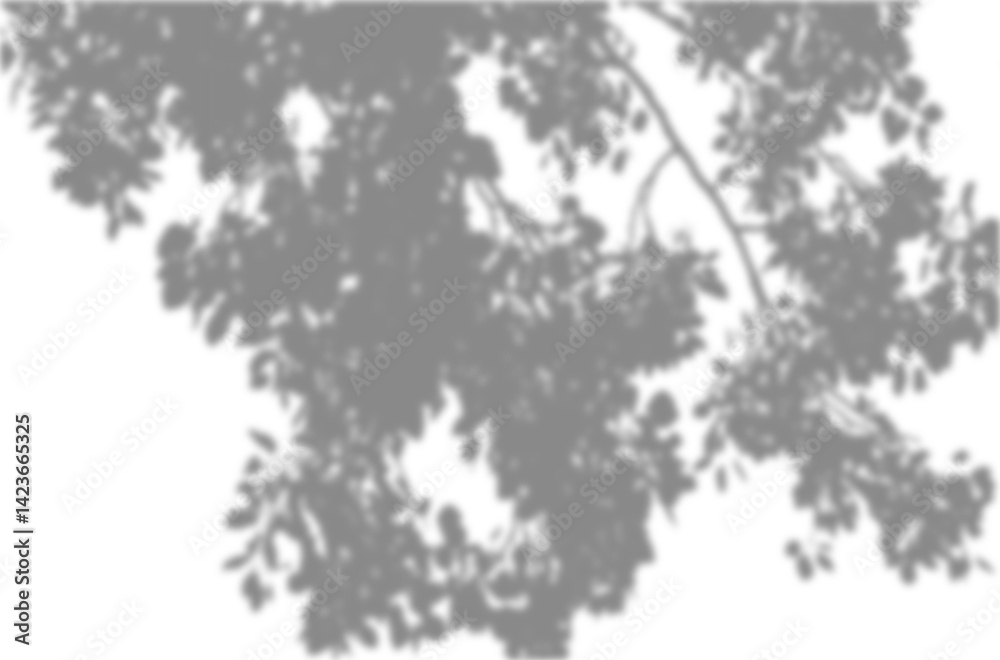 Natural leaf shadow effects isolated on transparent background. Blurred ...