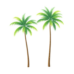Canvas Print - palm tree illustration