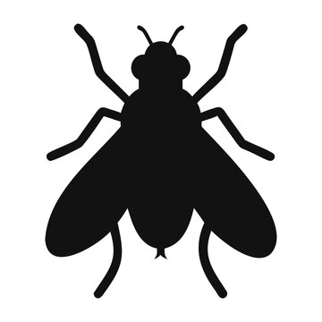Minimalist Black Fly Silhouette Vector for Graphic Design