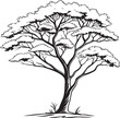 © Graphic_Design - West Indian Mahogany tree silhouette vector illustration
