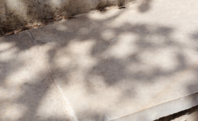 Fototapete - leaves and trees shadows in sunny day with sunlight on stone concrete surface podium table step mock up. Sunlight shadows highlights display design abstract empty place shelf and tabletop