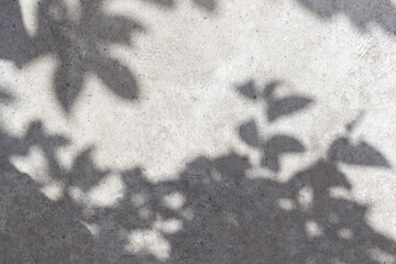 Fototapete - Empty wall surface with leaves shadows and sunlight. Cozy top view empty copy space close up concrete table surface mock up background for text and design. Wall with shadows. Abstract wall background