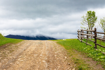 Wall Mural - countryside mountain landscape in spring. green nature with cloudy sky. beautiful view with fence al