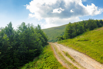 Wall Mural - country gravel road through highlands. travel transcarpathia region of ukraine in summer. hiking tra