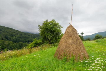 Wall Mural - haystack on the grassy hillside. rural field in mountainous area in summer. remore carpathian distri