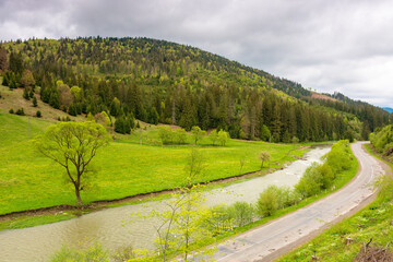Wall Mural - mountain landscape with road along river. alpine district. nature background for travel. green outdo