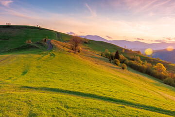 Wall Mural - countryside outdoor view in evening light. mountain landscape in spring. rural nature background wit