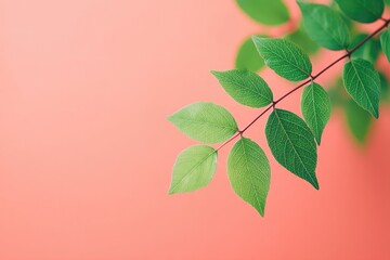 Poster - minimalistic scene of tree leaves against vibrant neon background