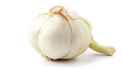Aufkleber - Single garlic bulb lying on white background