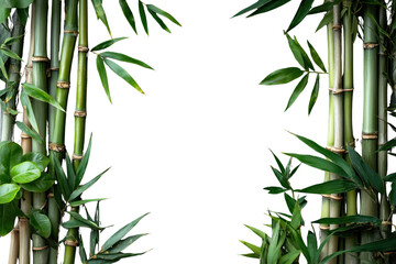 Wall Mural - png bamboo stalks and leafy clusters bamboo leaves design.