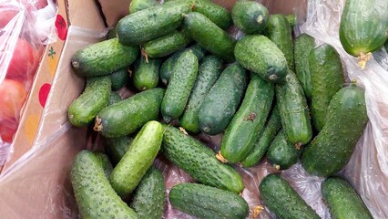Poster - Fresh cucumbers piled in a cardboard box at a local farmers market in summer