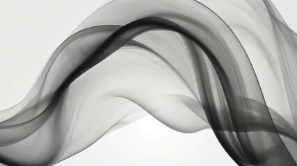 Poster - flowing abstract design translucent black fabric and smoke create elegance and movement in light, ev
