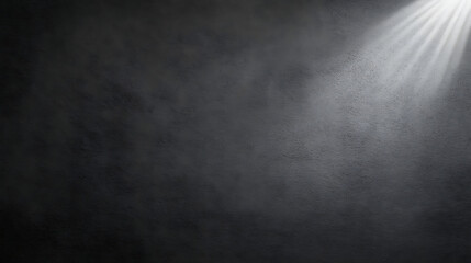 Poster - Black white grainy gradient background illuminated spot on dark gray noise texture banner header poster backdrop copy space