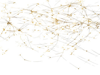 Leinwandbilder - Abstract Gold Network Illustration on Black Background for Digital Use