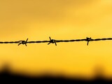 Silhouette of Barbed Wire Against Golden Sunset Sky Capturing Sharp Focus and Golden Hour Radiance