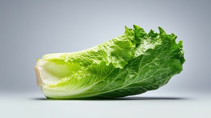 Aufkleber - Studio shot of leafy green lettuce, organic produce theme with contrast