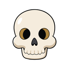 human skull vector illustration. anatomical design, stylized bone structure, and detailed human skul