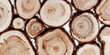 © yrabota - Round Slices of wood timber of juniper tree as natural geometric pattern, abstract nature banner. Natural wooden organic textures, monochrome brown beige gradient, earthy tone, top view backdrop